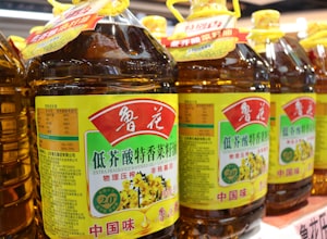 花生榨油机